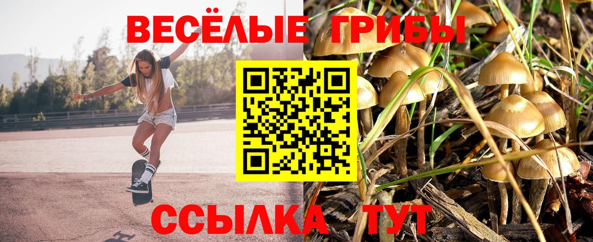 Галлюциногенные грибы Psilocybine cubensis Владимир