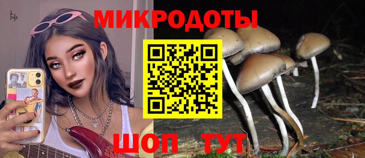 Галлюциногенные грибы ЛСД  Вход с VPN  Псилоцибиновые грибы прущие грибы  Владимир 